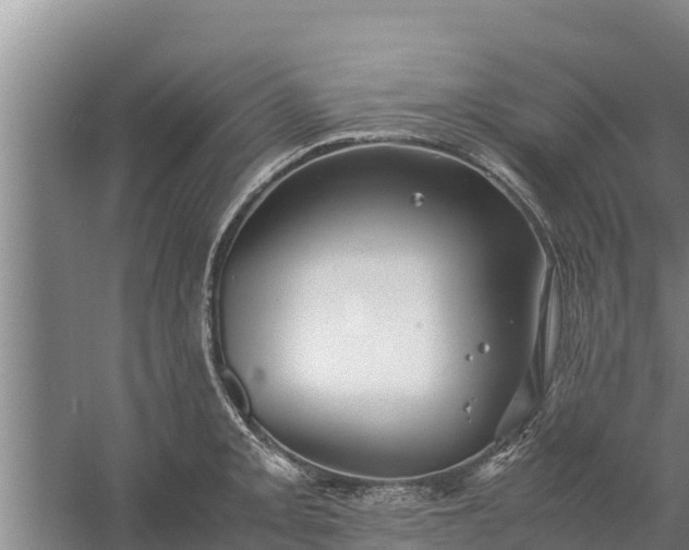 X0000058131093200509301946