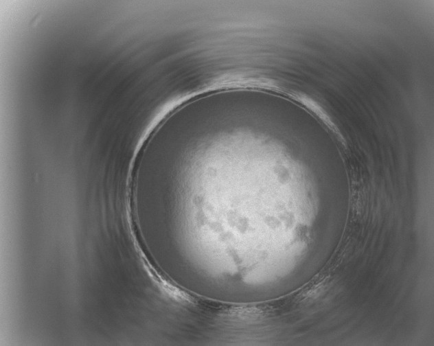 X0000058131094200509301946