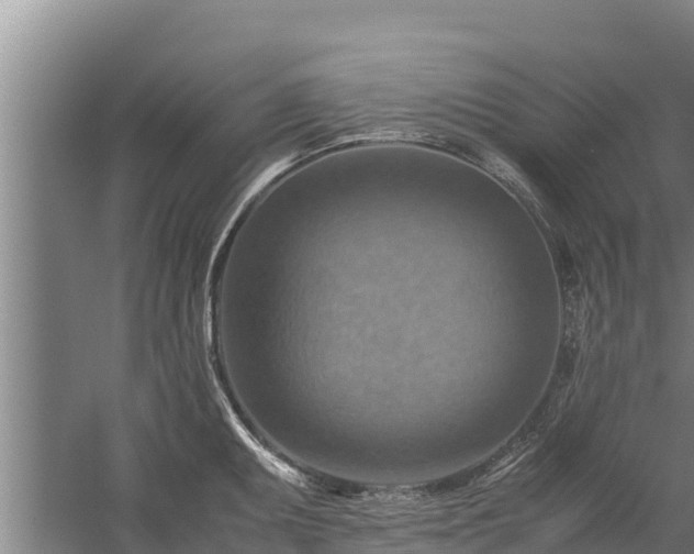 X0000058131095200509301946