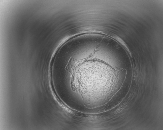 X0000058131096200509301946