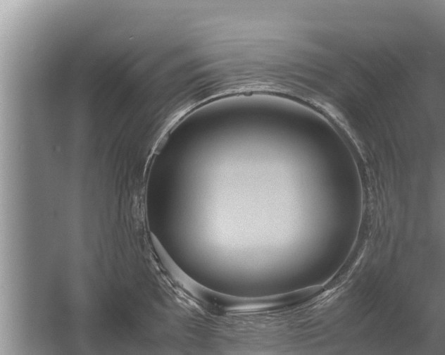 X0000058131097200509301946