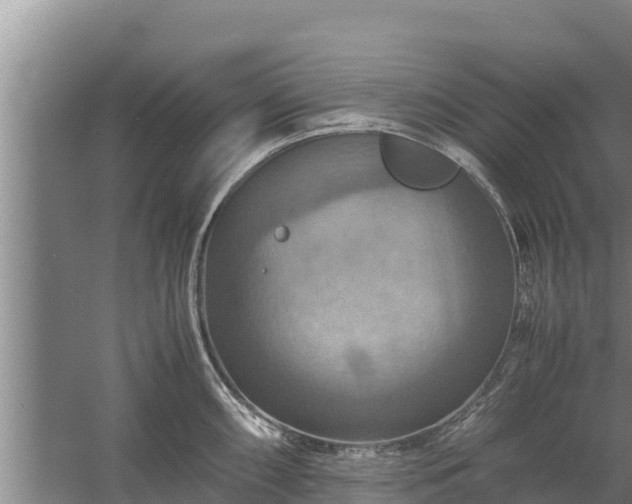 X0000058131098200509301946