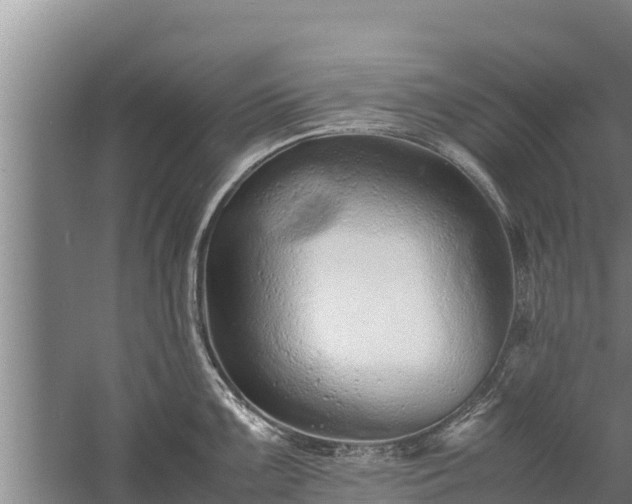 X0000058131099200509301946