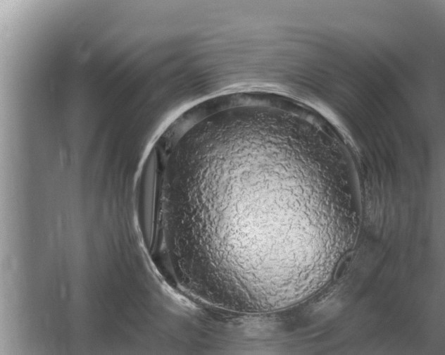 X0000058131102200509301946