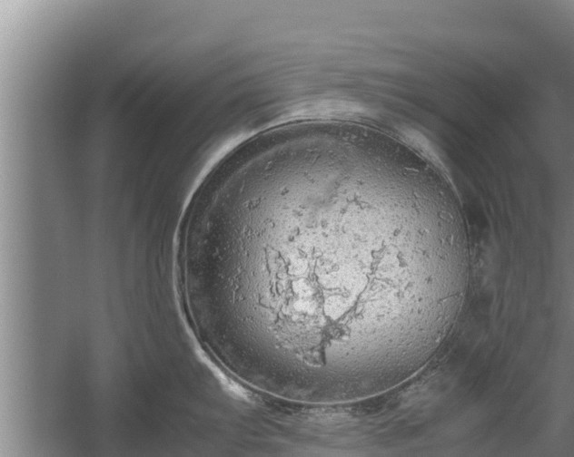 X0000058131103200509301946