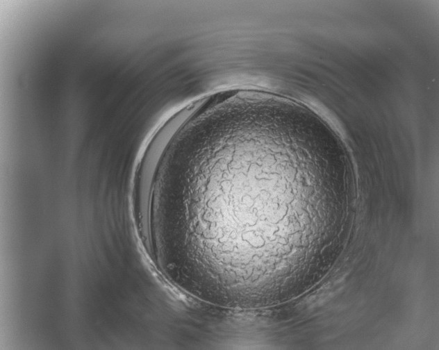 X0000058131104200509301946