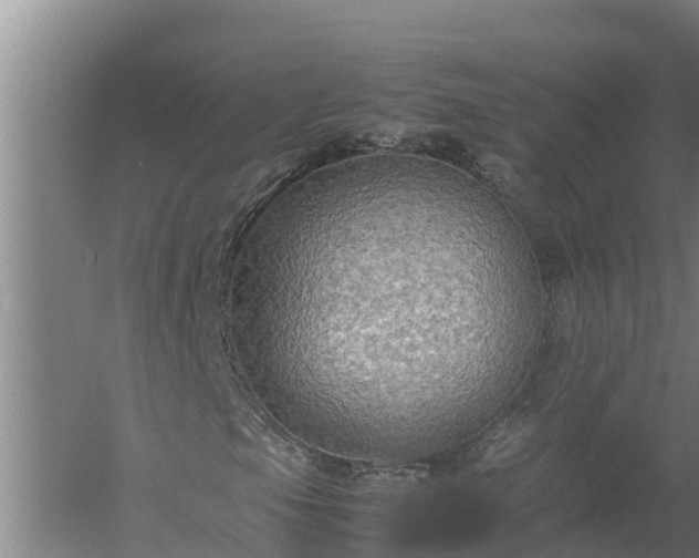 X0000058131105200509301945