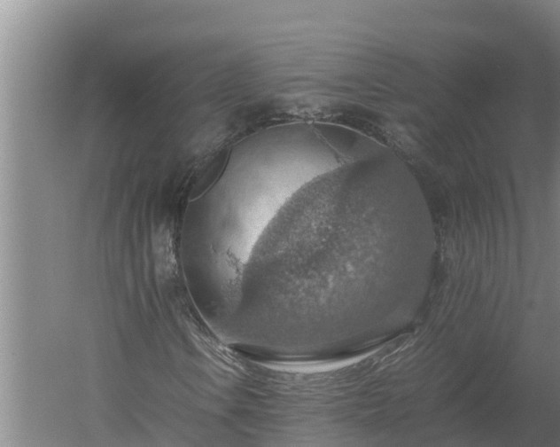 X0000058131106200509301945