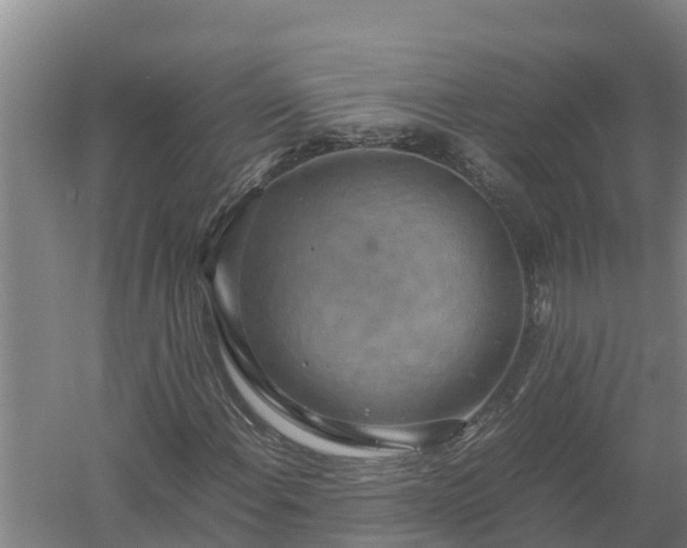 X0000058131108200509301945