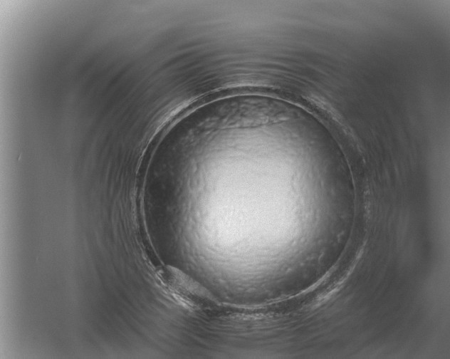 X0000058131121200509301946