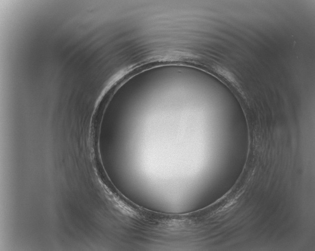 X0000058131122200509301946