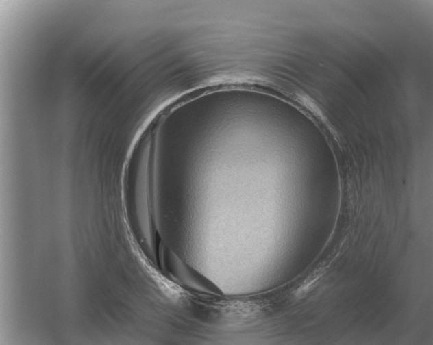 X0000058131124200509301946