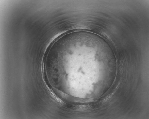 X0000058131125200509301946