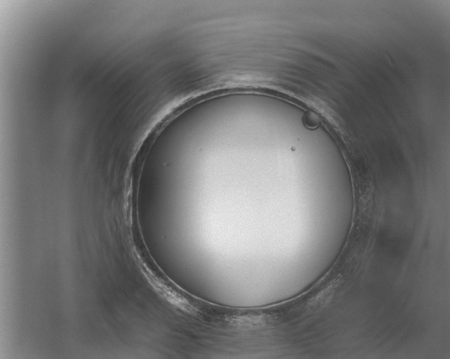 X0000058131126200509301946