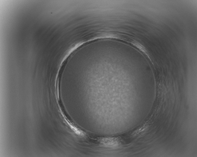 X0000058131127200509301946