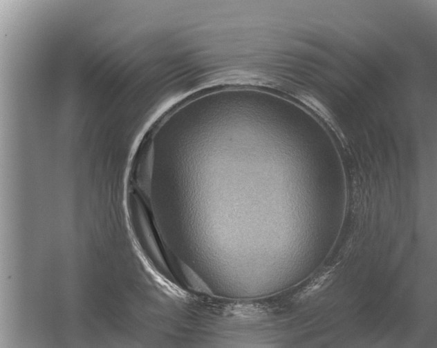 X0000058131128200509301946