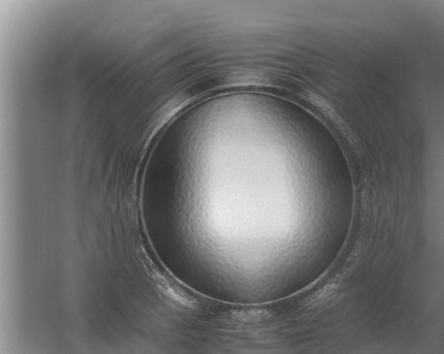 X0000058131129200509301946