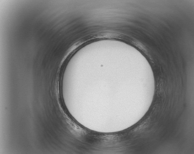 X0000058131130200509301946