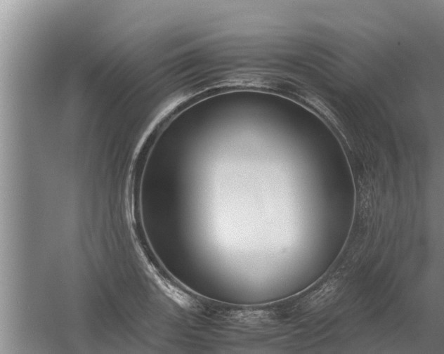 X0000058131131200509301946