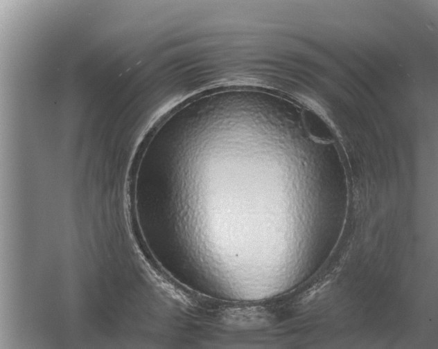 X0000058131133200509301946