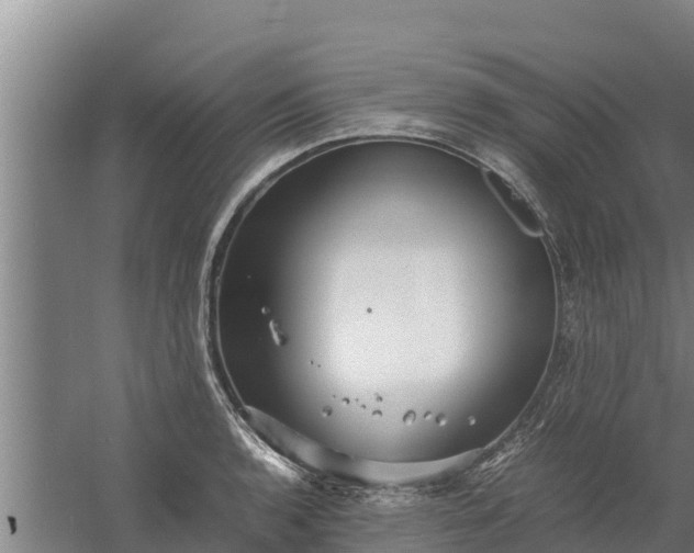 X0000058131136200509301946