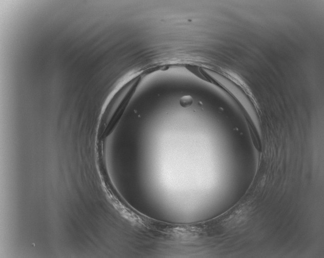 X0000058131138200509301946