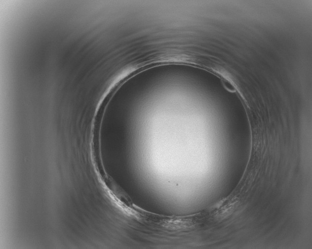 X0000058131139200509301946