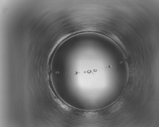 X0000058131140200509301946