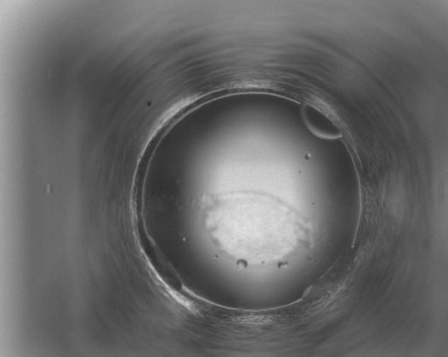 X0000058131141200509301946