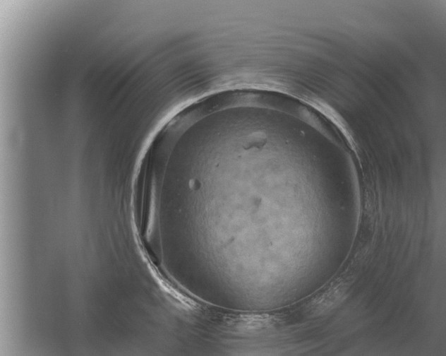 X0000058131144200509301946