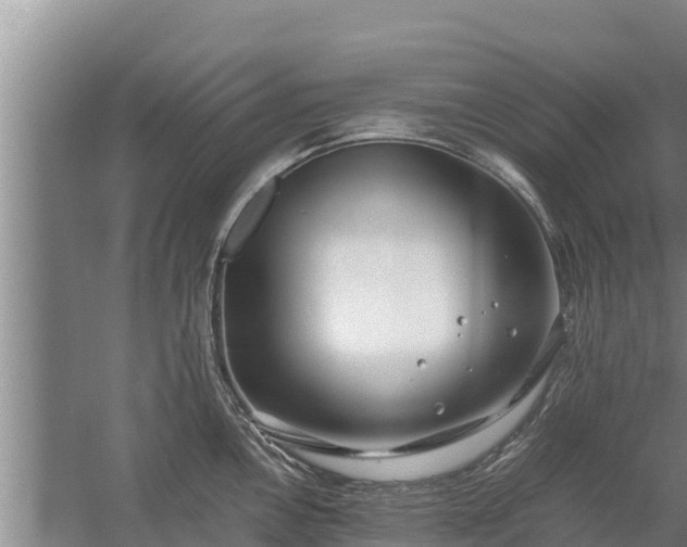 X0000058131146200509301946