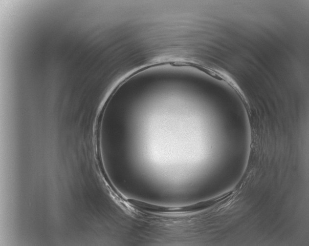 X0000058131148200509301946