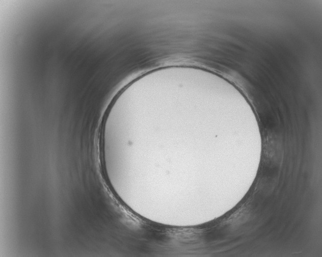 X0000058131150200509301946