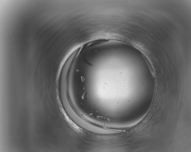 X0000058131152200509301946