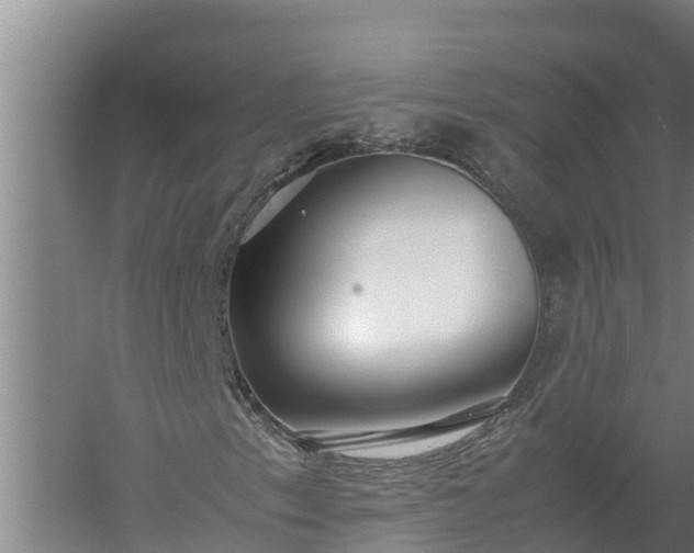 X0000058131153200509301945