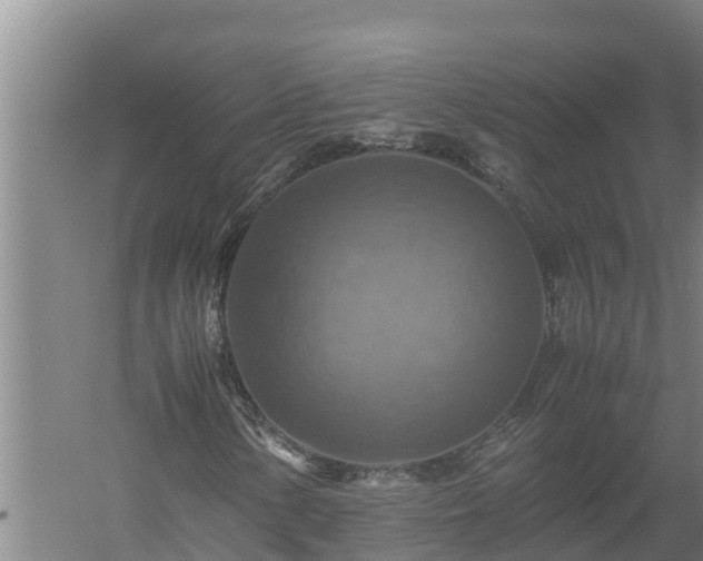 X0000058131154200509301945