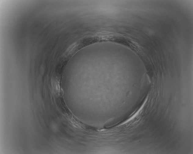 X0000058131155200509301945