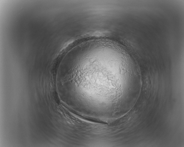 X0000058131158200509301945