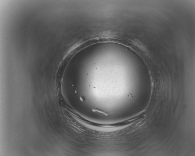 X0000058131160200509301945