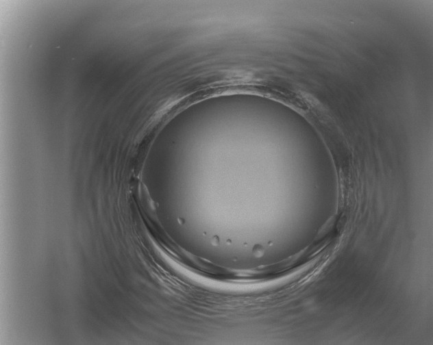 X0000058131161200509301945