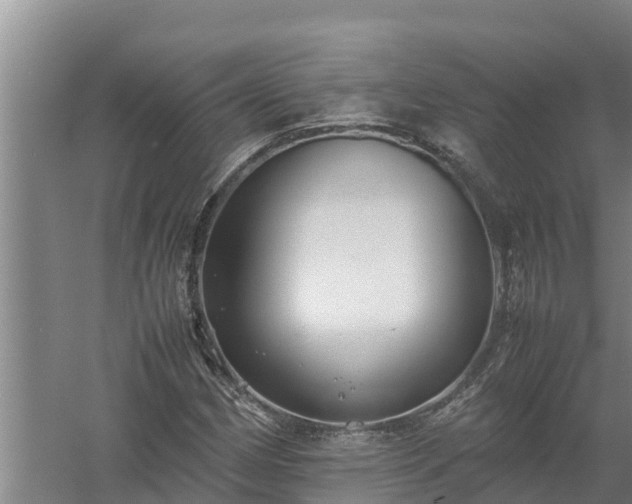 X0000058131162200509301945