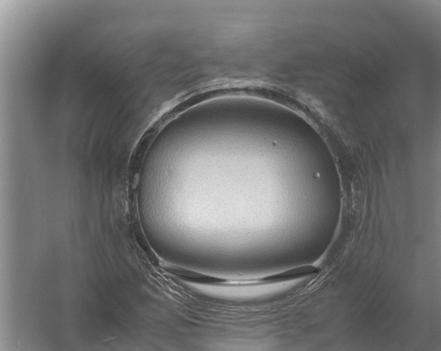 X0000058131165200509301945