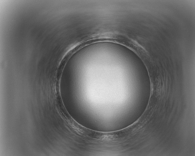 X0000058131166200509301945