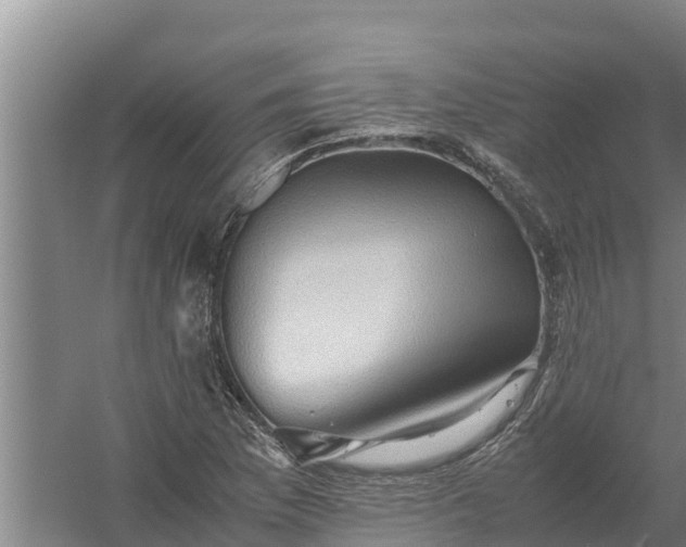 X0000058131169200509301945