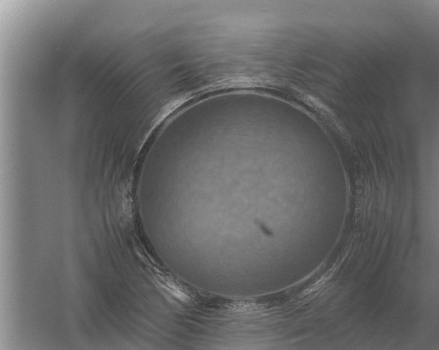 X0000058131170200509301945