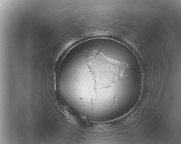 X0000058131171200509301945