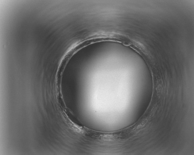 X0000058131172200509301945