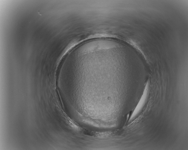 X0000058131173200509301945