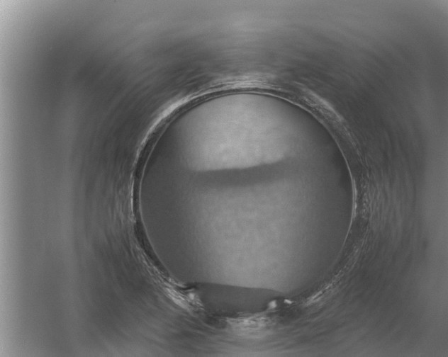 X0000058131174200509301945