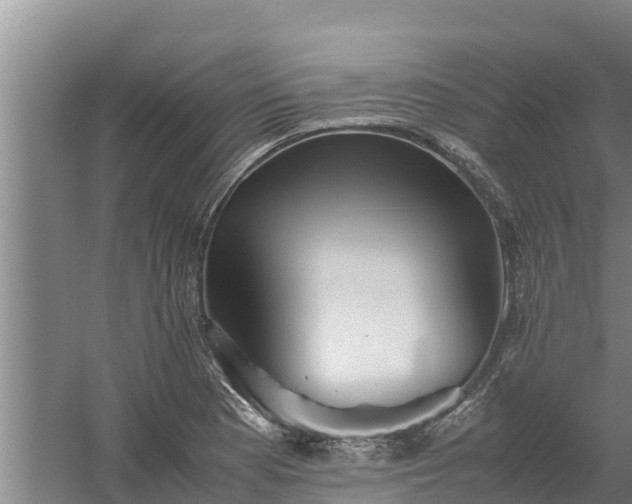 X0000058131177200509301945